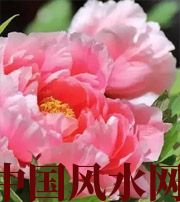 阜阳预示你财运上升，姻缘可成的梦境，快来看看吧！
