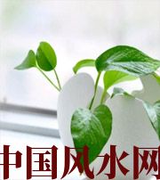阜阳家中摆放六种吉祥物，会打开您的财运大门！