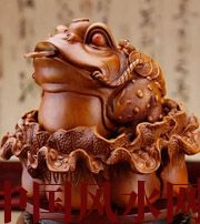 阜阳解读金蟾最合适的位置，这样摆放更招财！