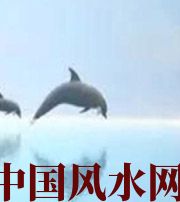 阜阳做梦梦到这些，是要富裕的征兆！